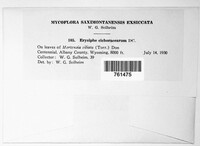 Image Associated With the Occurence